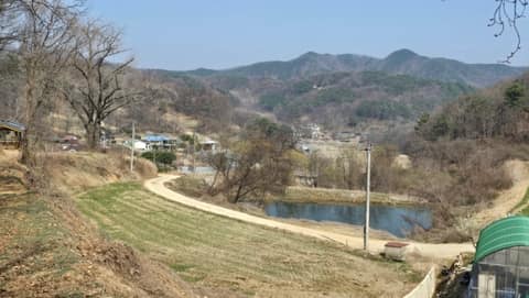대청호오백리길19구간(청남대사색길) 사진 4