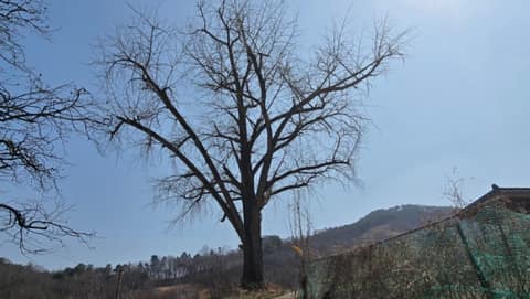대청호오백리길19구간(청남대사색길) 사진 5