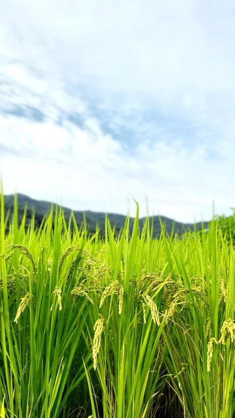 물소리길2코스 사진 6