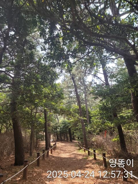전북천리길해넘이솔섬길 사진 2