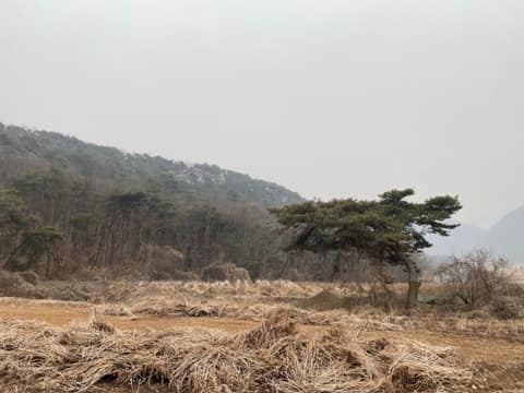 경기둘레길여주36코스 사진 3