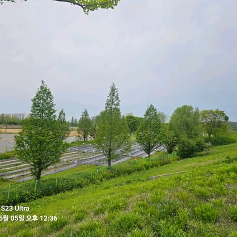 경기둘레길여주33코스 사진 1