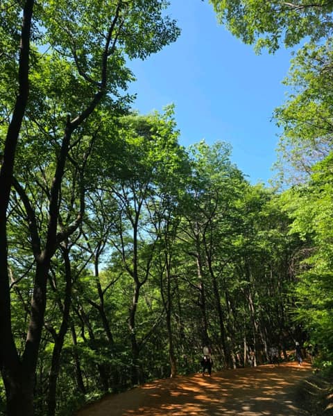 계족산황톳길 사진 1
