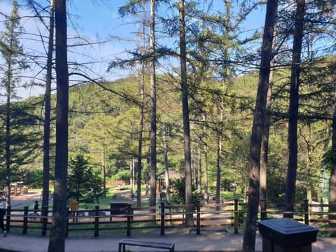 계족산황톳길 사진 4