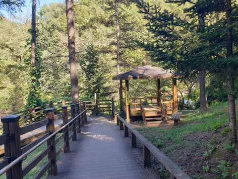 계족산황톳길 사진 6