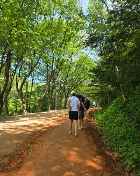 계족산황톳길 사진 9