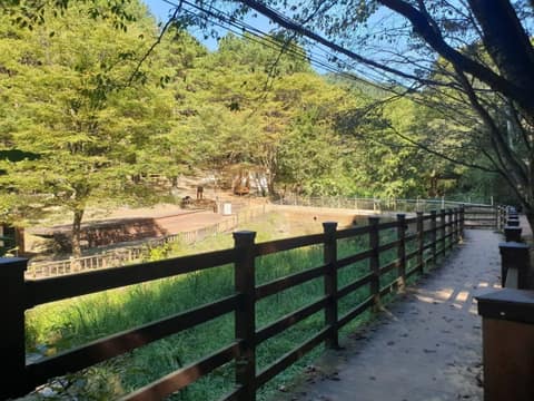 계족산황톳길 사진 10