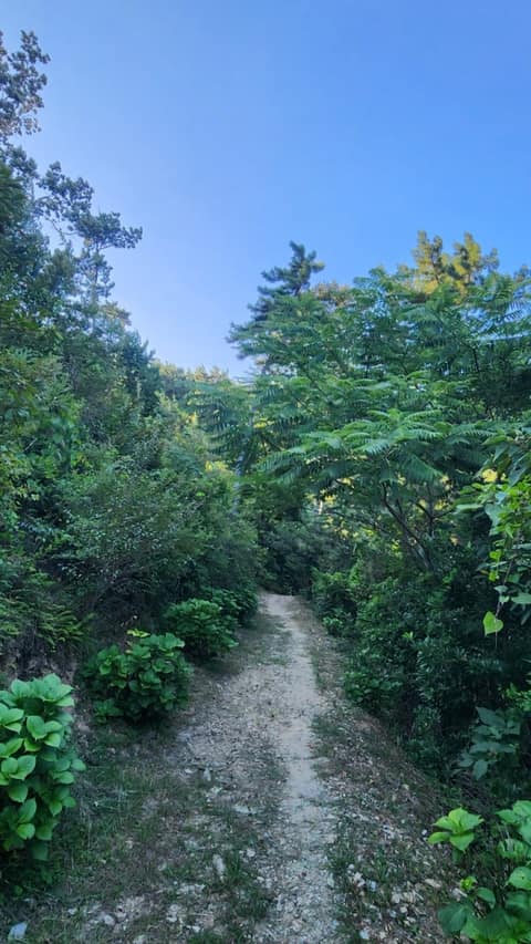 남파랑길19코스 사진 4