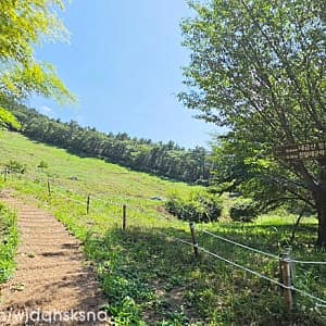 남파랑길19코스 사진 5