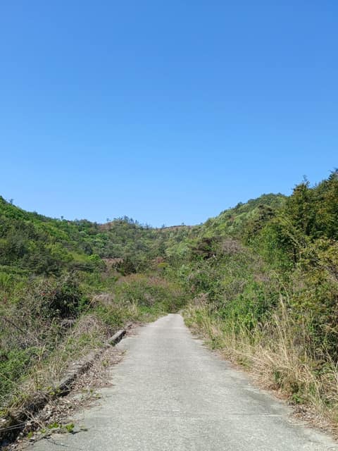 남파랑길63코스 사진 4