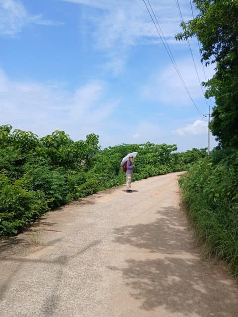 남파랑길70코스 사진 8