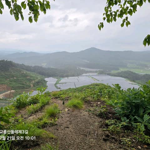 전북천리길교룡산둘레길 사진 8