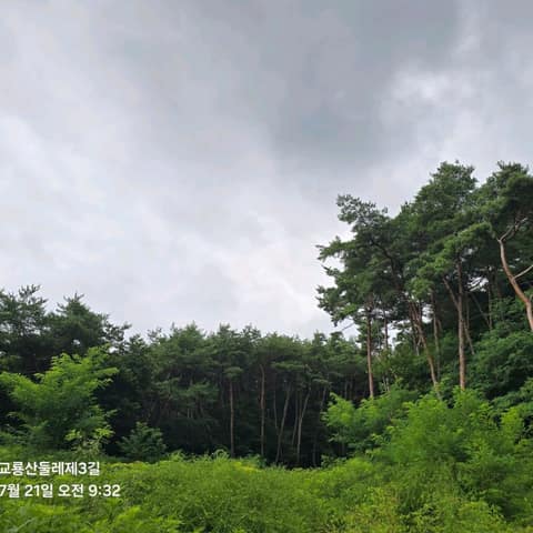 전북천리길교룡산둘레길 사진 9