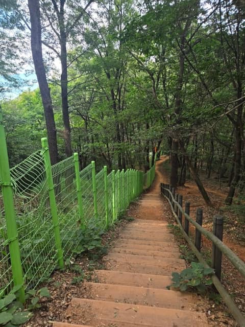 서울둘레길16코스(봉산앵봉산) 사진 2