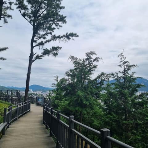 서울둘레길16코스(봉산앵봉산) 사진 5
