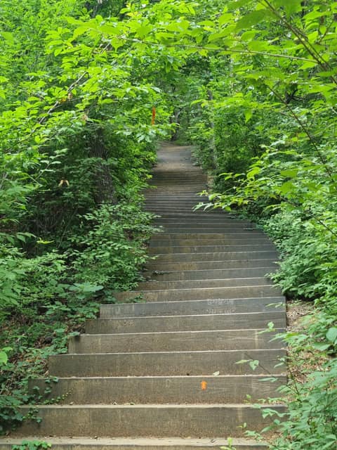 서울둘레길16코스(봉산앵봉산) 사진 6