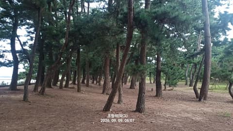 서해랑길87코스 사진 1