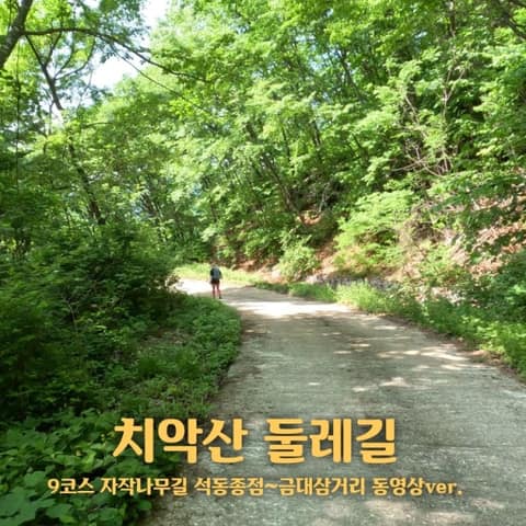 치악산둘레길9코스(자작나무길) 사진 2