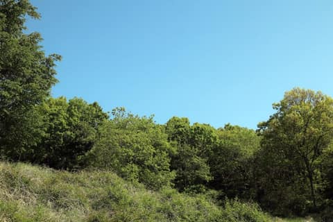 해안누리길53코스 사진 3