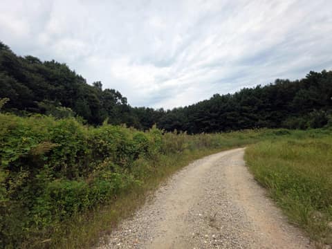 경기둘레길안산50코스 사진 8