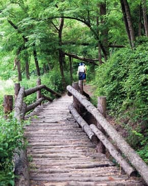 비내길2코스 사진 4