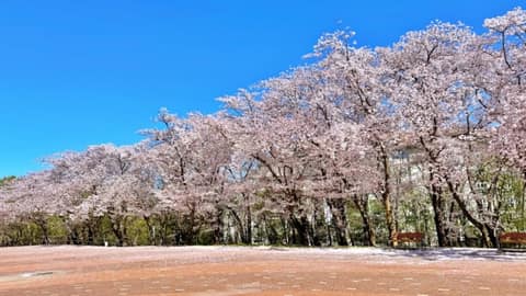 보문호반길 사진 8