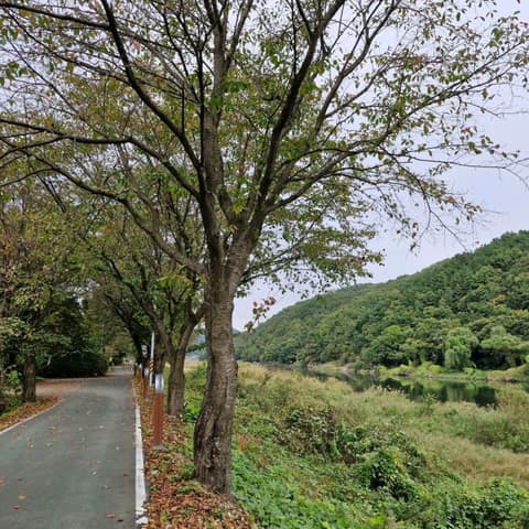 물소리길6코스 사진 4