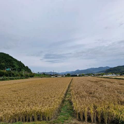 물소리길6코스 사진 6