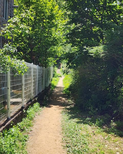 성남누비길3코스(영장산길) 사진 3