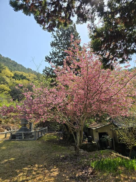 남파랑길36코스 사진 4