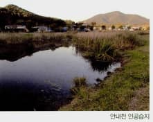 대청호오백리길15구간(구름고개길) 사진 4