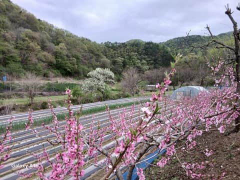 대청호오백리길15구간(구름고개길) 사진 6