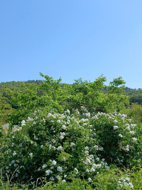 남파랑길69코스 사진 6