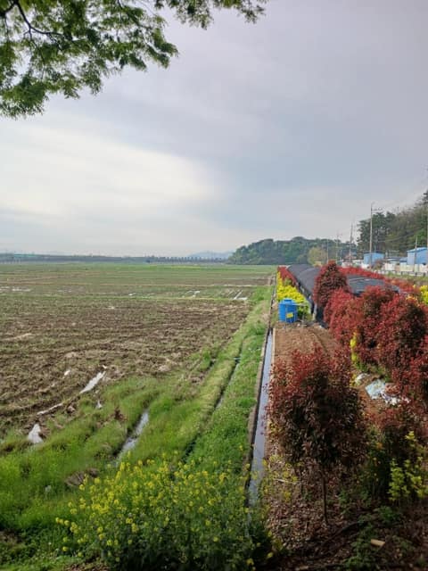남파랑길51코스 사진 2