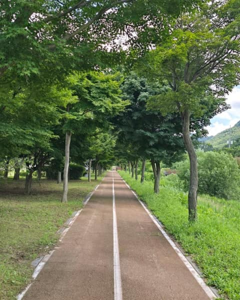 전북천리길정읍사오솔길2코스 사진 5