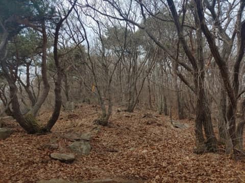 내포문화숲길(백제부흥군길4코스) 사진 1