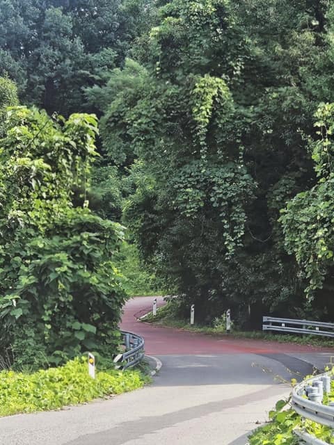 대청호오백리길9구간(지용향수길) 사진 3