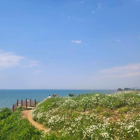 서해랑길47코스 사진 3
