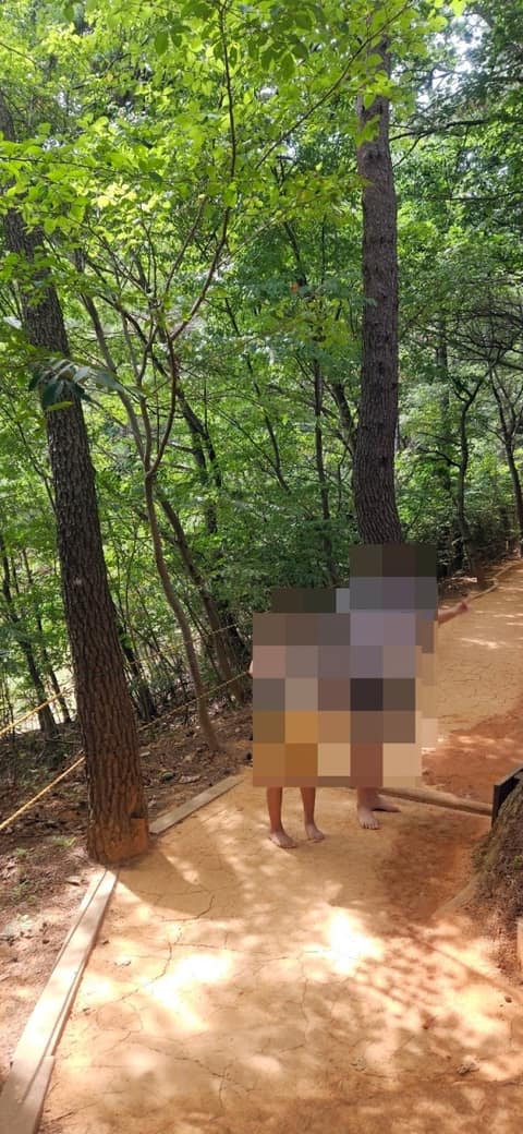 회동수원지둘레길 사진 8