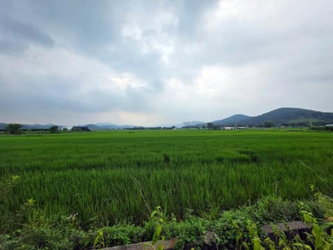 경기둘레길시흥54코스 사진 7