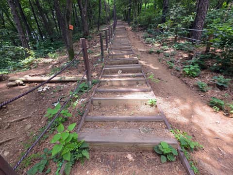 경기둘레길시흥54코스 사진 8