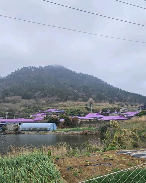 반월도둘레길(해안탐방로) 사진 5