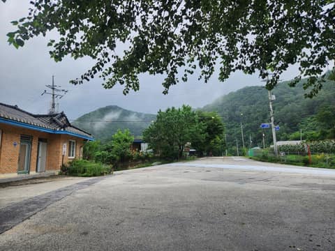 DMZ평화의길29코스 사진 3
