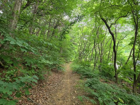 경기옛길삼남길3길(모락산길) 사진 1