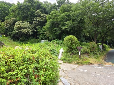 경기옛길삼남길3길(모락산길) 사진 3