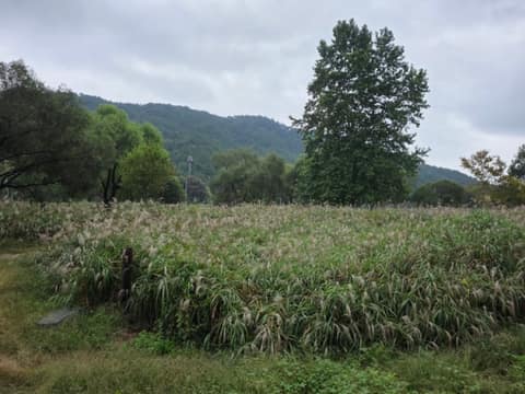 갑천누리길1코스(도심속갑천길) 사진 6