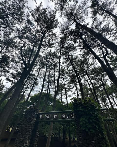 장생의숲길 사진 7