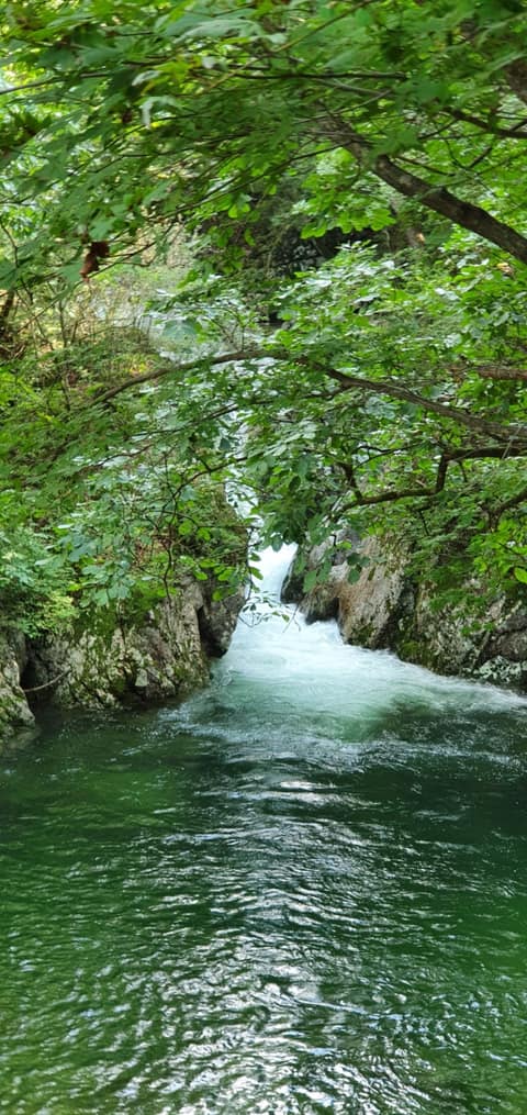 황장목숲길 사진 1