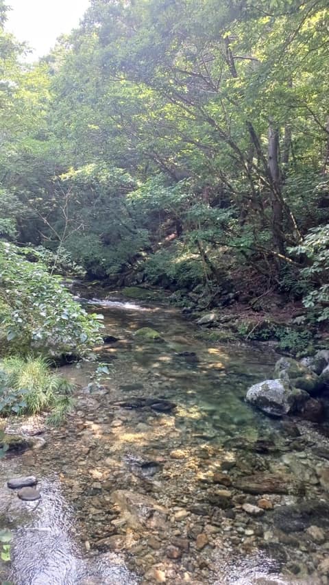 황장목숲길 사진 2
