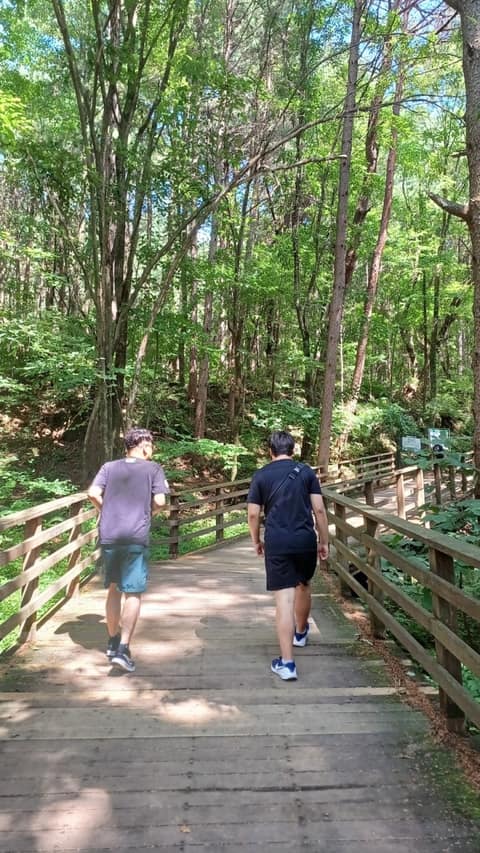 황장목숲길 사진 5